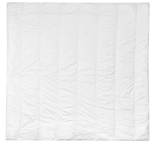 Paplan Poliészter Közepesen meleg CHAPCHA 220 x 240 cm