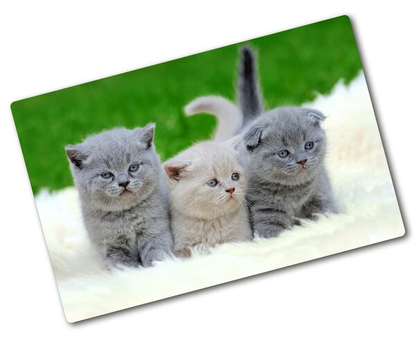 Üveg vágódeszka Három macskát egy takaró