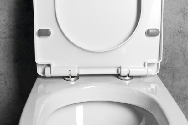 Aqualine Aqualine, VERMET WC ülőke, Soft Close, fehér, VRS008