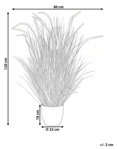 Műnövény BRISTLEGRASS 120 cm Narancssárga