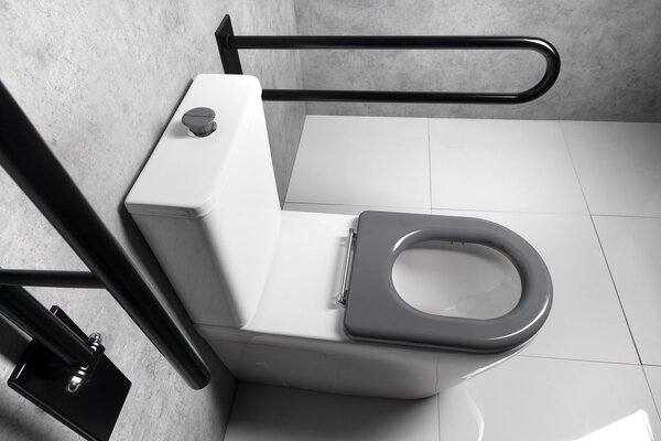 Sapho Sapho, DARIO RIMLESS WC kombi tál tartállyal, alsó/hátsó hulladék, fehér, MC102