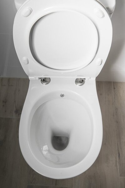 Sapho Sapho, KAIRO CLEANWASH WC kombi bidé zuhannyal, hátsó hulladékkal, öblítő mechanizmussal, PC106