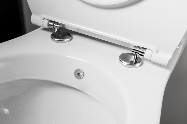 Sapho Sapho, KAIRO CLEANWASH WC kombi bidé zuhannyal, hátsó hulladékkal, öblítő mechanizmussal, PC106