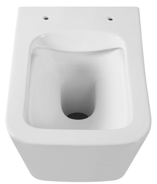 Gamma Mut, falra akasztható wc csésze 51x36 cm Perem nélküli, lassan eső ülőfelülettel, fényes fehér, GMA-MUT-202