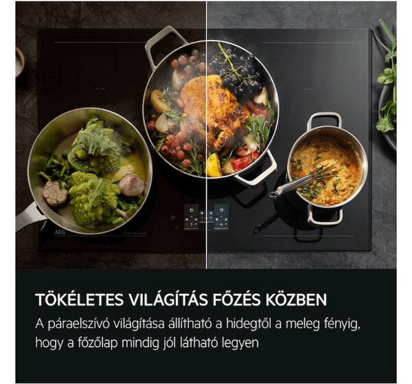 AEG GDP869PB Teleszkópos páraelszívó