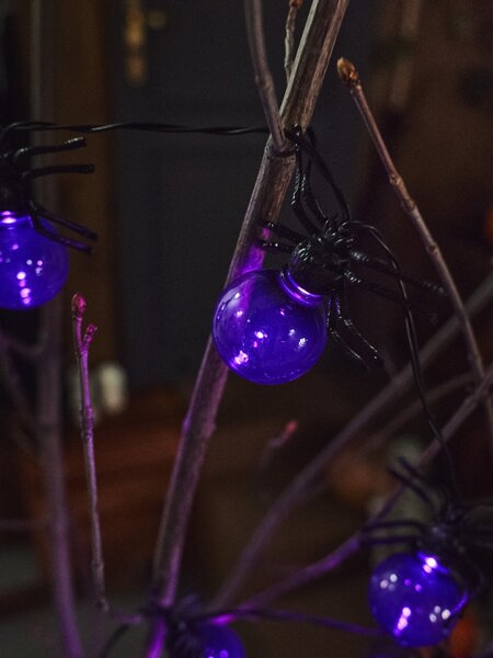 Sinsay - Halloween LED girland pókmintával - fekete