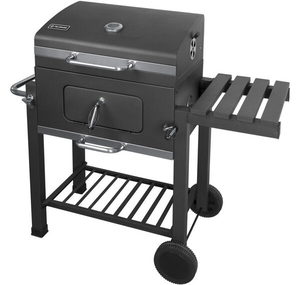 Fieldmann FZG1008 faszenes grillsütő