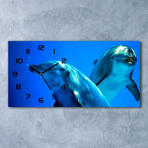 Vízszintes üvegóra Két delfin