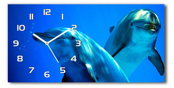 Vízszintes üvegóra Két delfin