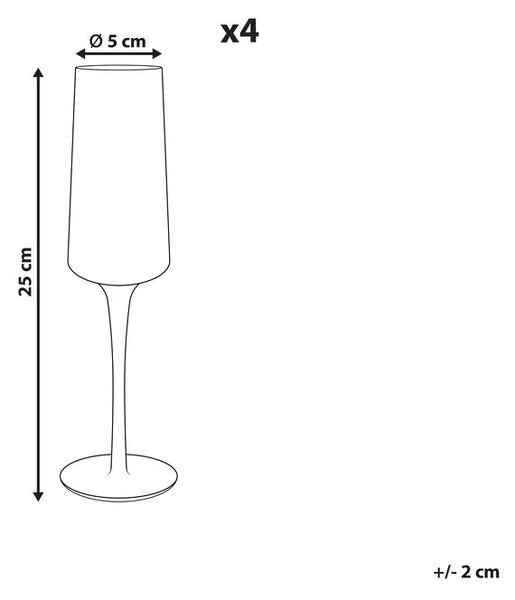 Négydarabos pezsgőspohár szett QUARTZ 230 ml Szürke