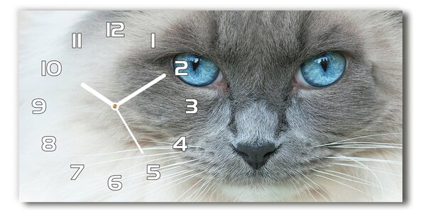 Vízszintes üvegóra Cat kék szem