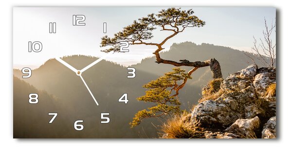 Üvegóra vízszintesen Pieniny sokolica