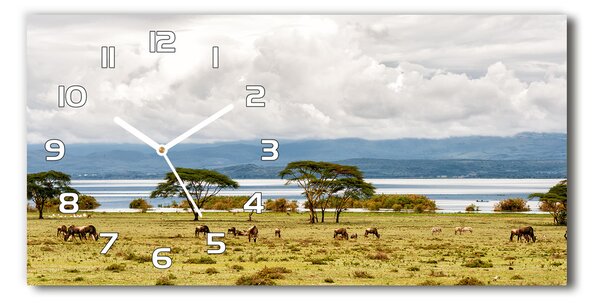 Üvegóra vízszintesen Lake naivasha