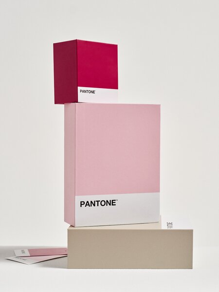 Sinsay - Tárolódoboz Pantone - rózsaszín
