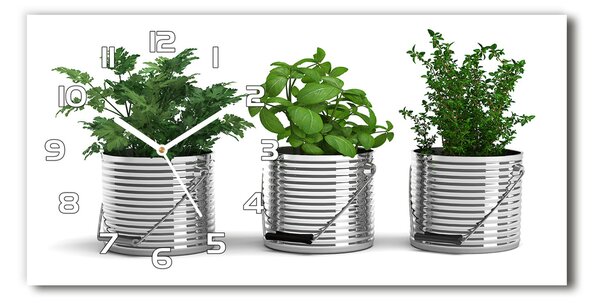 Üvegóra vízszintesen Aromás növények