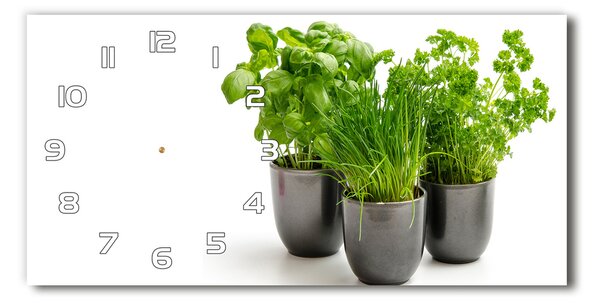 Üvegóra vízszintesen Gyógynövények cserépben
