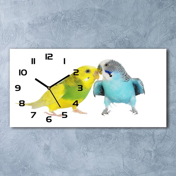 Vízszintes üvegóra Budgies