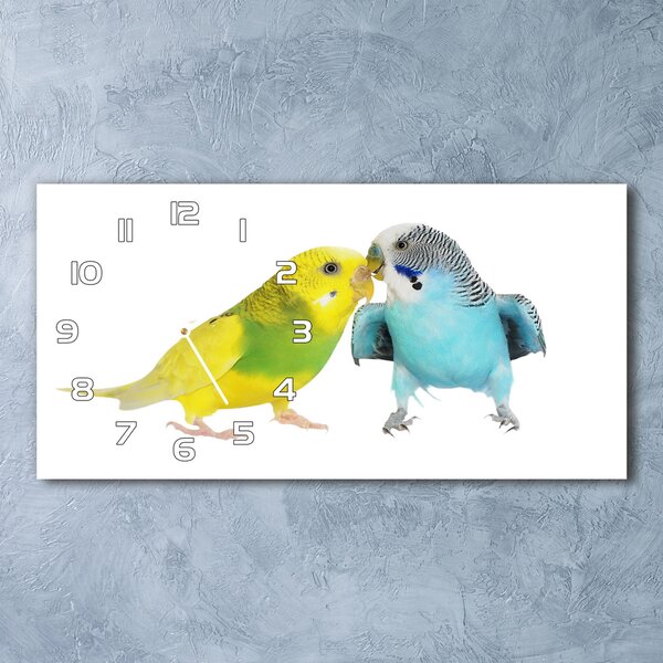 Vízszintes üvegóra Budgies