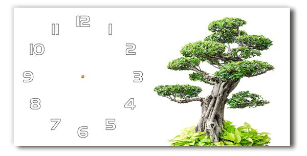 Vízszintes üvegóra Bonsai fa