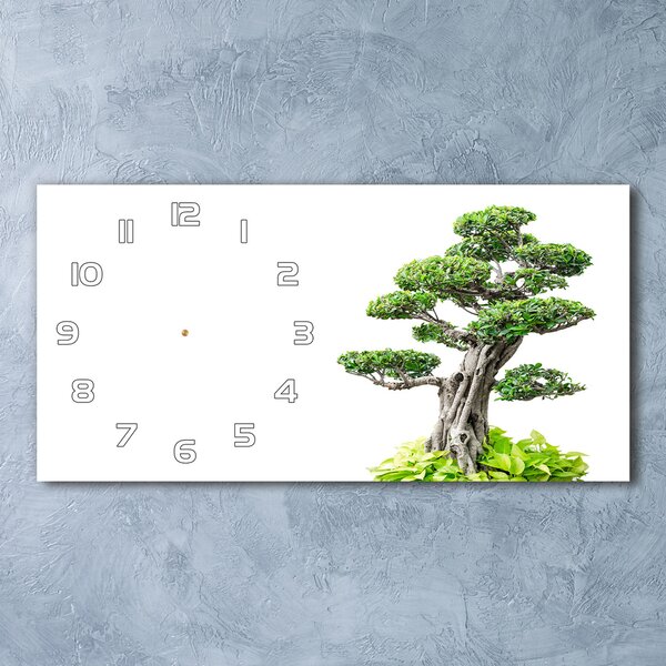 Vízszintes üvegóra Bonsai fa