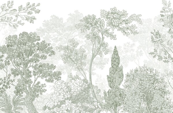 Fotótapéta Fák és növények csoportja, Természet fotótapéta, Népszerű fotótapéta, w04851v2 - Tapeko.hu