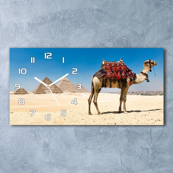 Vízszintes üvegóra Camel kairóban