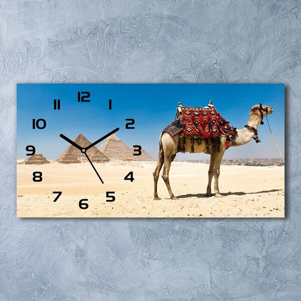 Vízszintes üvegóra Camel kairóban