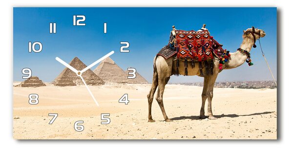 Vízszintes üvegóra Camel kairóban