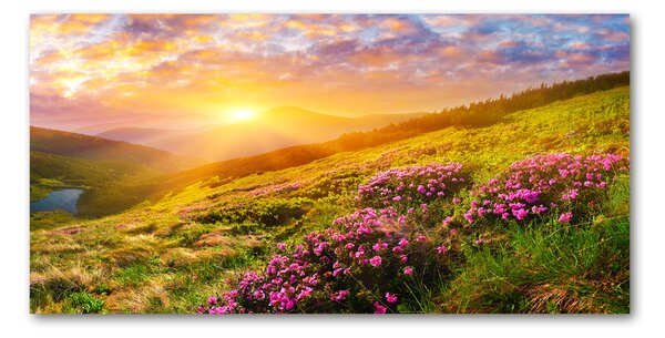 Akril üveg kép Sunset hegy