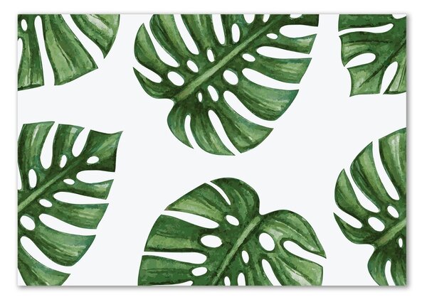 Akrilkép Monstera