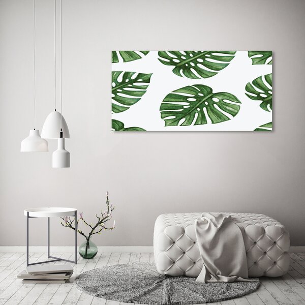 Akrilkép Monstera