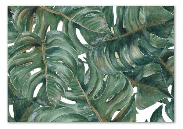 Akrilkép Monstera