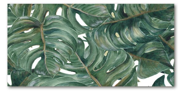 Akrilkép Monstera