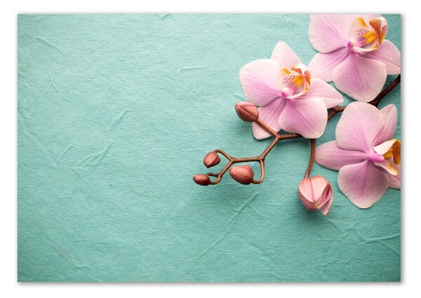 Akrilkép Orchidea