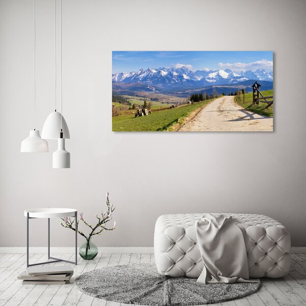 Akril üveg kép Panoráma a tátra