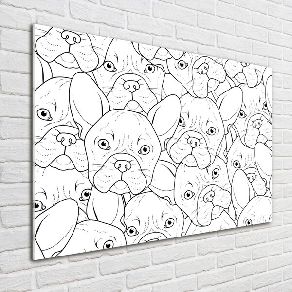 Akrilkép Francia bulldog