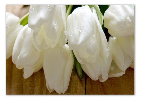 Egyedi üvegkép Fehér tulipán