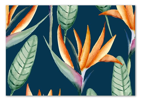 Egyedi üvegkép Strelitzia reginae