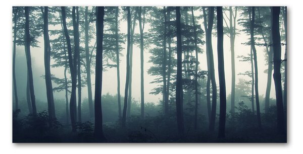 Akril üveg kép Forest a ködben