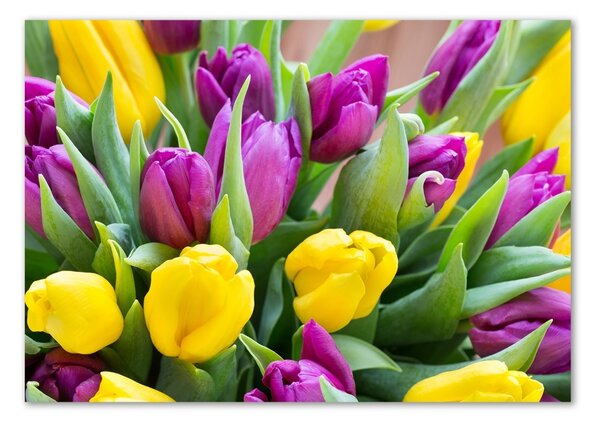 Egyedi üvegkép Színes tulipán