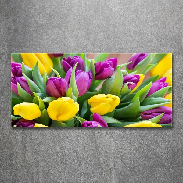 Akrilkép Színes tulipán