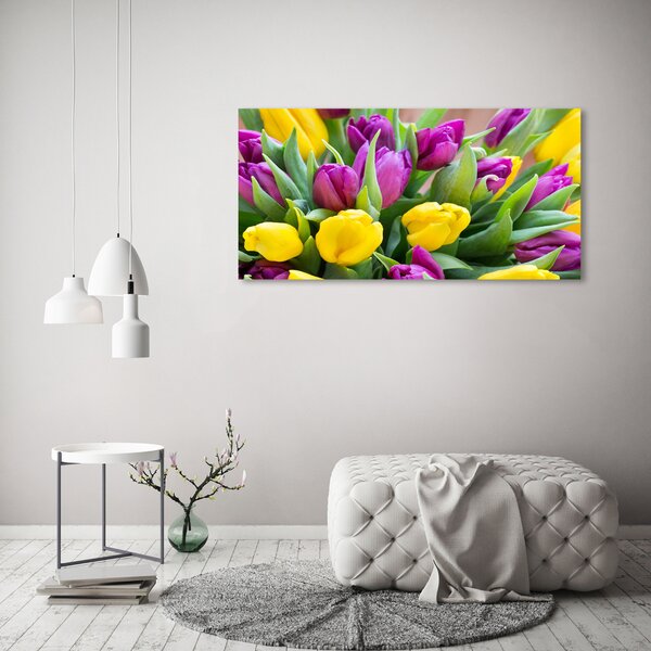 Akrilkép Színes tulipán