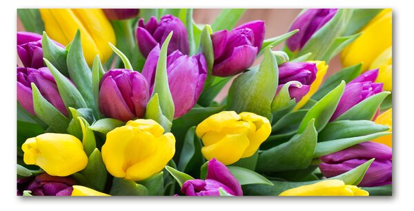 Akrilkép Színes tulipán