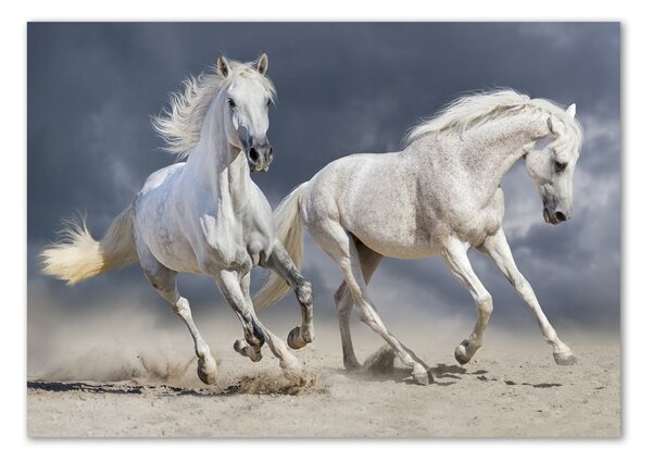 Akrilkép White horse beach