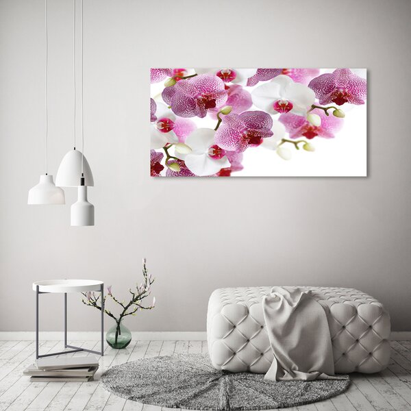 Akrilkép Orchidea