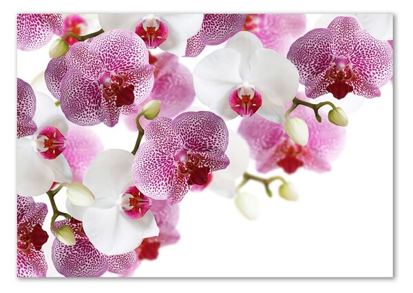 Egyedi üvegkép Orchidea