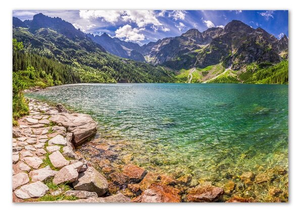 Akril üveg kép Marine szem tatry