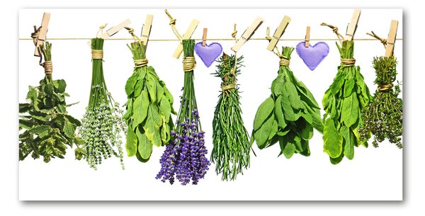 Akril üveg kép Herbs egy húr