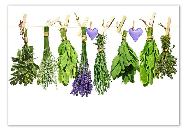 Akril üveg kép Herbs egy húr