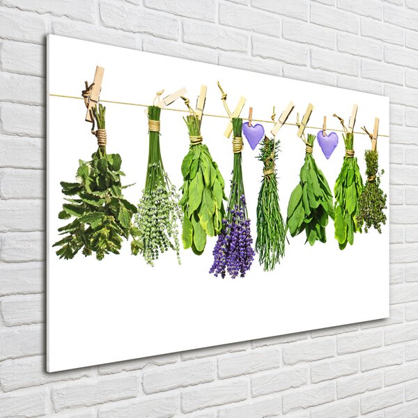 Akril üveg kép Herbs egy húr